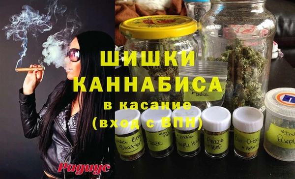 гидра Алексеевка