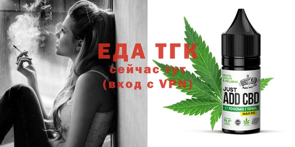 индика Алексин