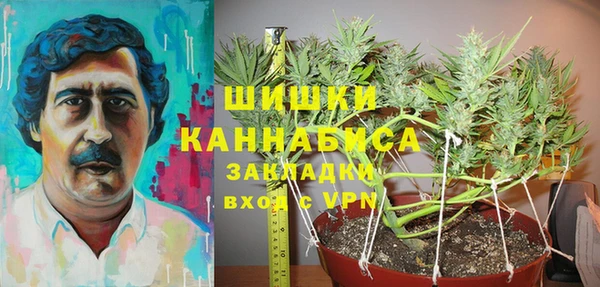 гидра Алексеевка
