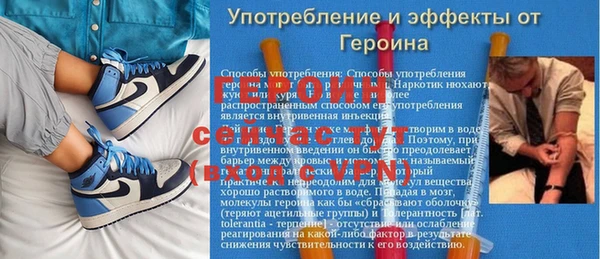 гидра Алексеевка