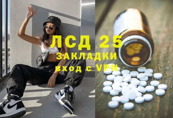 индика Алексин