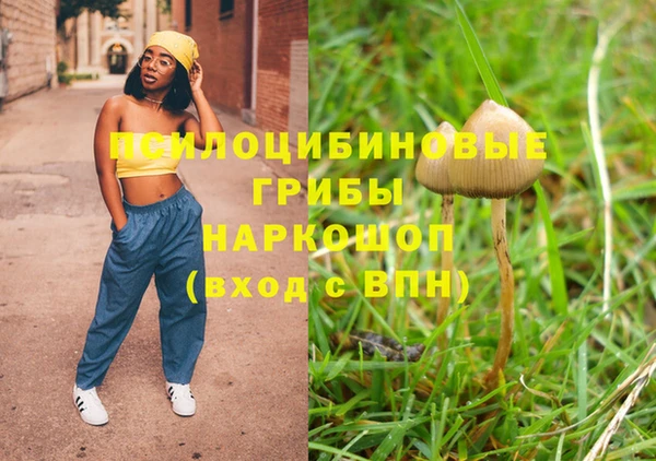 индика Алексин