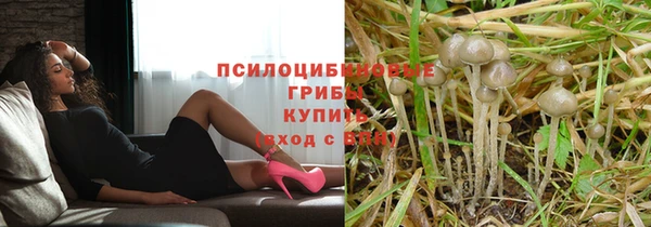 индика Алексин