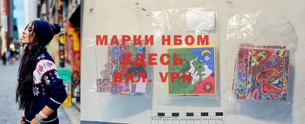 индика Алексин