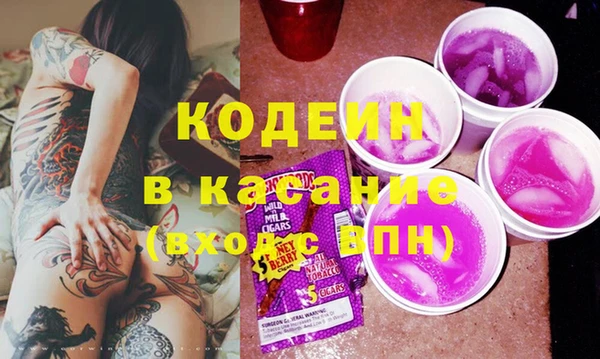 индика Алексин