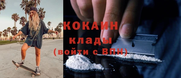индика Алексин
