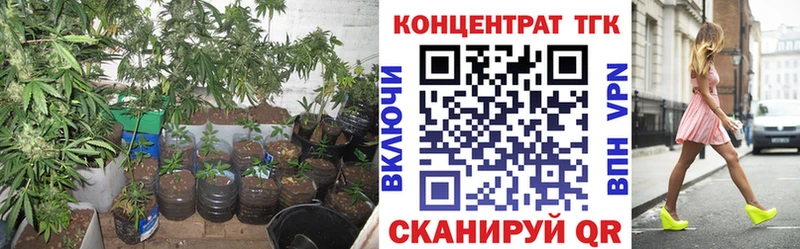 OMG как войти  где продают наркотики  маркетплейс официальный сайт  Дистиллят ТГК концентрат  Чусовой 