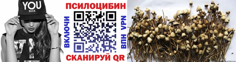 Псилоцибиновые грибы GOLDEN TEACHER  Чусовой 